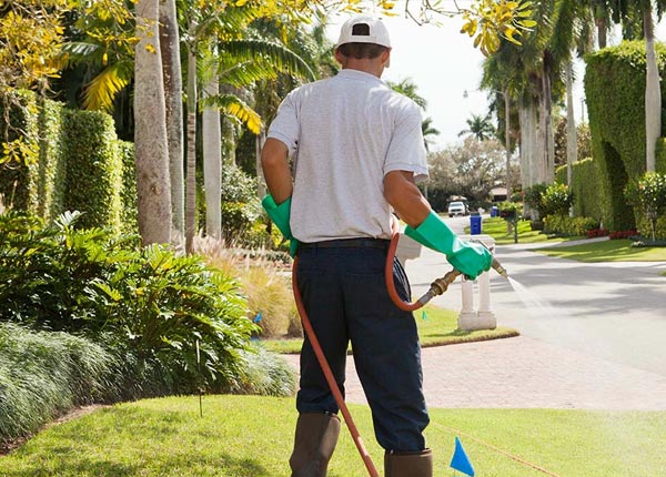 About Canal Fulton OH Pest Control Pros